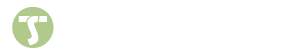 logo technosoft